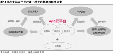 小天鹅涨停背后 大消费品的东山再起与互联网数据服务的双轮驱动
